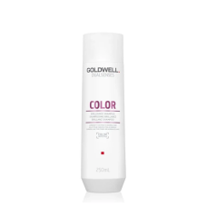 Шампунь Goldwell DSN Color для збереження кольору тонкого волосся 250 мл